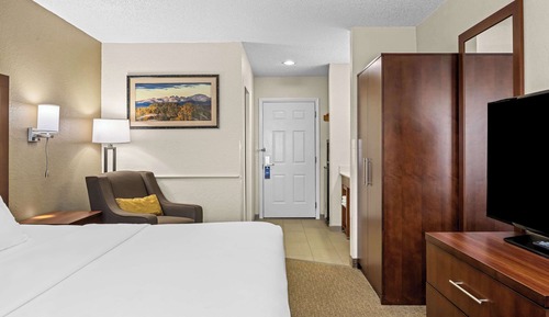 Standard Room, 1 King Bed, Non Smoking