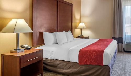 Suite, 1 King Bed, Non Smoking (No Pets)