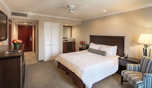Room, 1 King Bed (Coast King with Wetbar)