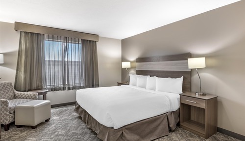 Standard Room, 1 King Bed, Refrigerator & Microwave