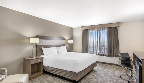 Standard Room, 1 King Bed, Non Smoking, Refrigerator & Microwave