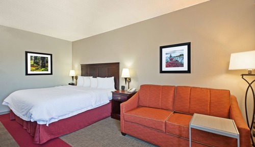 Room, 1 King Bed, Non Smoking (Study)
