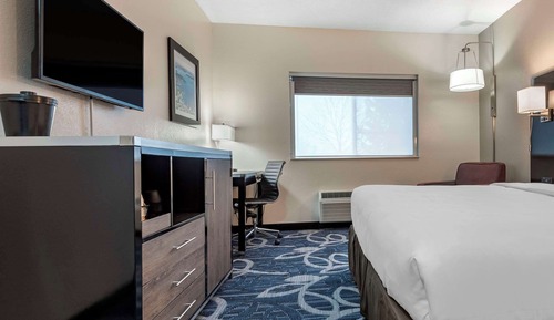 Standard Room, 1 King Bed, Non Smoking