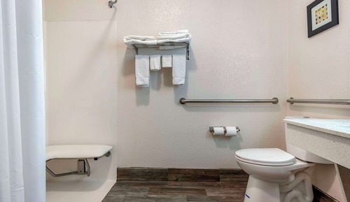 Room, 1 King Bed, Accessible, Non Smoking