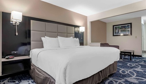 Suite, 1 King Bed with Sofa bed, Non Smoking