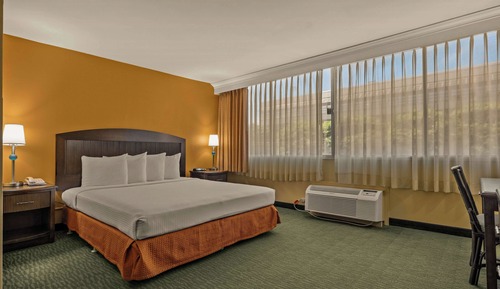Room, 1 King Bed, Non Smoking
