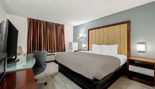 Room, 1 King Bed, Non Smoking