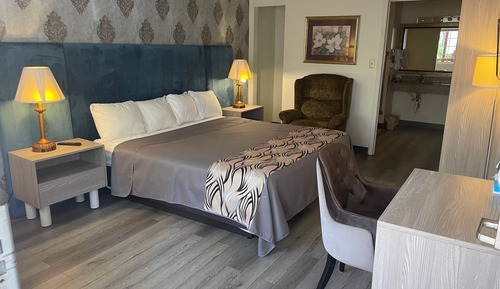 Standard Room, 1 King Bed, Non Smoking, Refrigerator