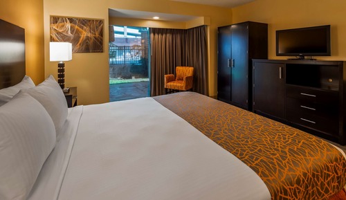 Standard Room, 1 King Bed, Non Smoking, Refrigerator & Microwave (Pet Friendly)