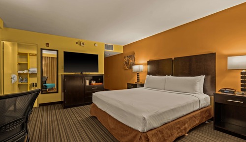 Standard Room, 1 King Bed, Accessible, Non Smoking