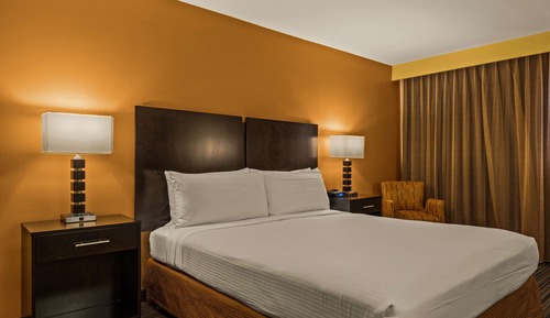 Standard Room, 1 King Bed, Non Smoking, Refrigerator & Microwave