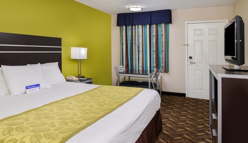Room, 1 King Bed, Smoking