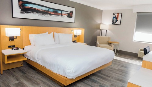 Room, 1 King Bed