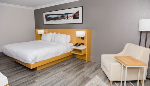 Suite, 1 King Bed with Sofa bed