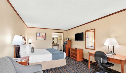Standard Room, 1 King Bed, Non Smoking, Refrigerator & Microwave (with Sofabed)