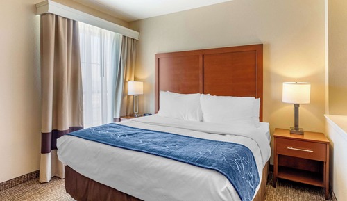 Suite, 1 King Bed with Sofa bed, Non Smoking, Jetted Tub