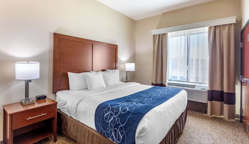 Suite, 1 King Bed with Sofa bed, Accessible, Non Smoking