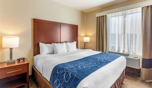 Suite, 1 King Bed with Sofa bed, Non Smoking