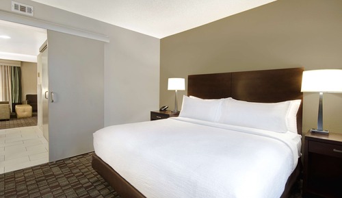 Room, 1 King Bed, Accessible, Bathtub (Mobility & Hearing)