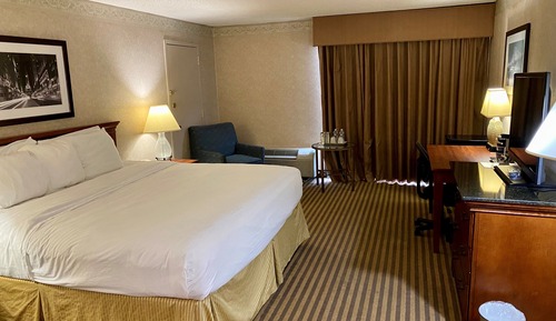 Room, 1 King Bed, Non Smoking