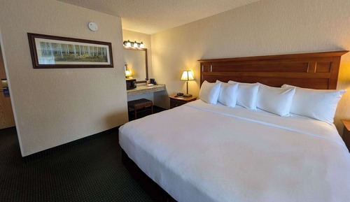 Room, 1 King Bed, Accessible, Non Smoking