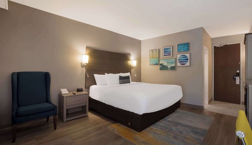 Standard Room, 1 King Bed, Patio, Pool View