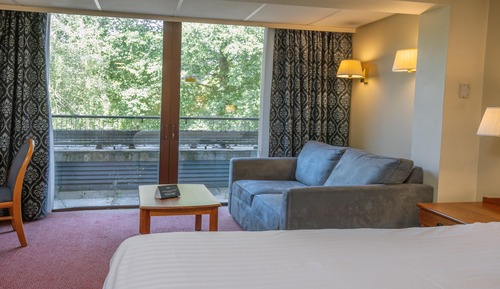 Executive Room, 1 King Bed, Non Smoking (with Sofabed)