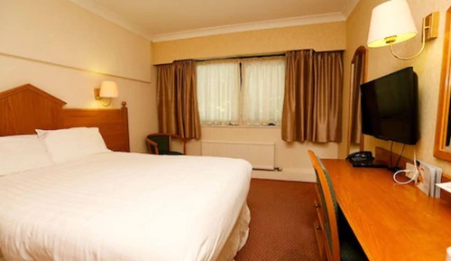 Family Double or Twin Room