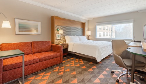 Standard Room, 1 King Bed with Sofa bed