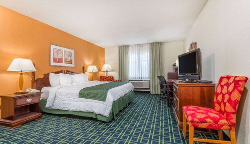 Room, 1 King Bed