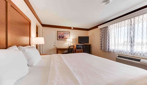 Standard Room, 1 King Bed, Non Smoking, Refrigerator & Microwave (Movie View from the Bed)