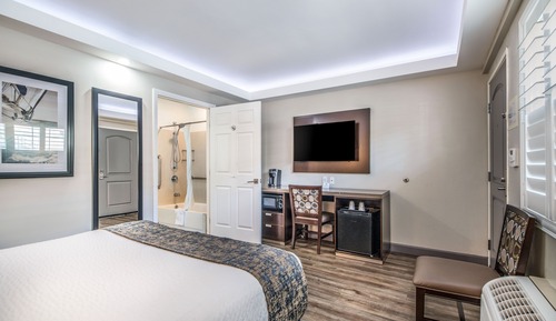 Room, 1 Queen Bed, Mobility Accessible