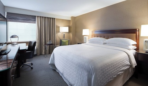 Room, 1 King Bed, Non Smoking (Mobility/Hearing Access, Roll-in Shwr)