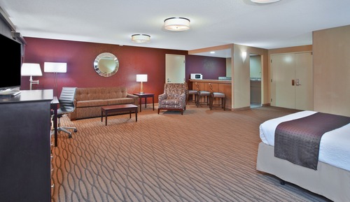 Standard Room, 1 King Bed with Sofa bed