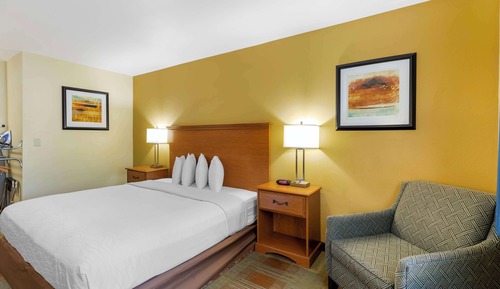 Standard Room, 1 King Bed, Smoking, Microwave