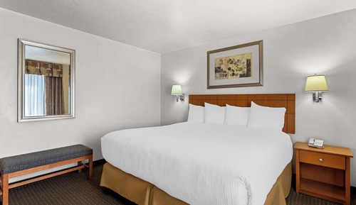 Family Suite, 1 King Bed, Non Smoking, Microwave (No Pets in room type)