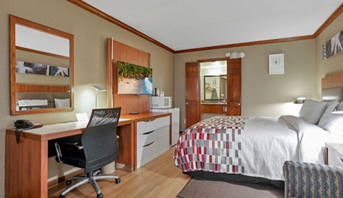 Superior Room, 1 King Bed, Non Smoking