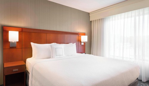 Room, 1 King Bed