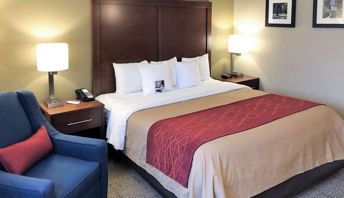 Standard Room, 1 King Bed, Non Smoking
