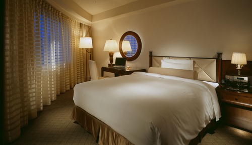 Single Room, Non Smoking (Premium Floor)
