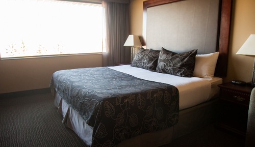 Room, 1 King Bed