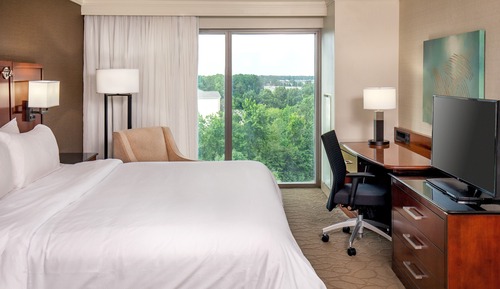 Room, 1 King Bed (Mobility/Hearing Accessible, Tub)