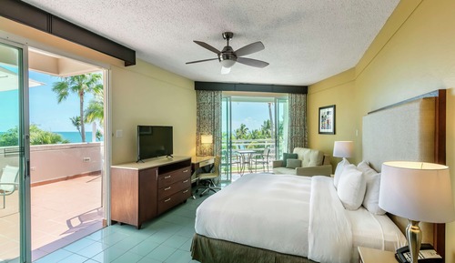 Caribbean Oceanview 1 King with Terrace