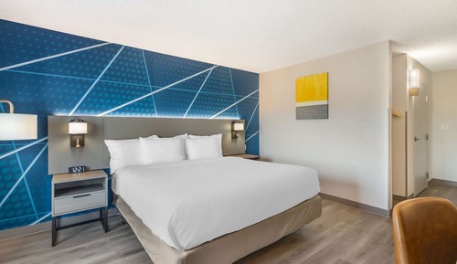 Room, 1 King Bed, Accessible, Non Smoking