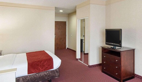 Standard Room, 1 King Bed, Non Smoking