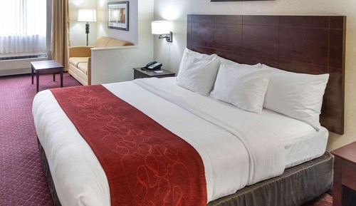 Standard Room, 1 King Bed, Non Smoking