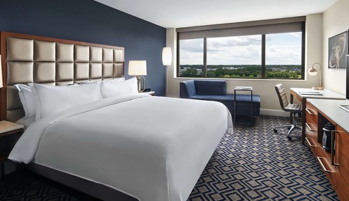 Room, 1 King Bed