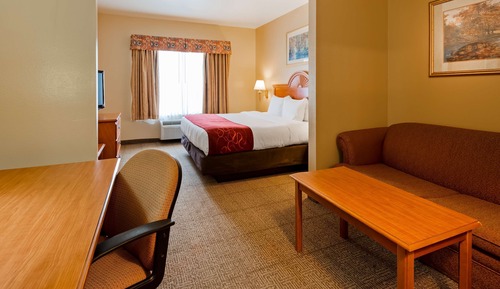 Suite, 1 King Bed, Non Smoking, Refrigerator & Microwave (with Sofabed)