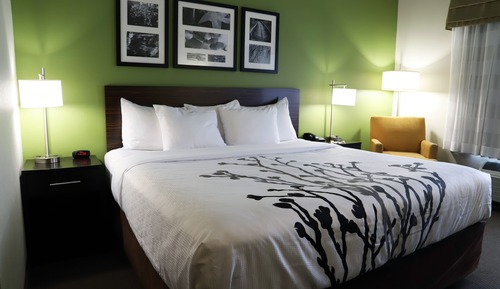 Room, 1 King Bed, Accessible, Non Smoking (Accessible Tub, Transfer Shower)