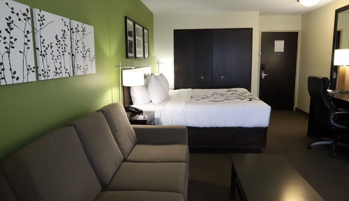 Standard Room, 1 King Bed with Sofa bed, Non Smoking